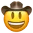 cowboyIcon