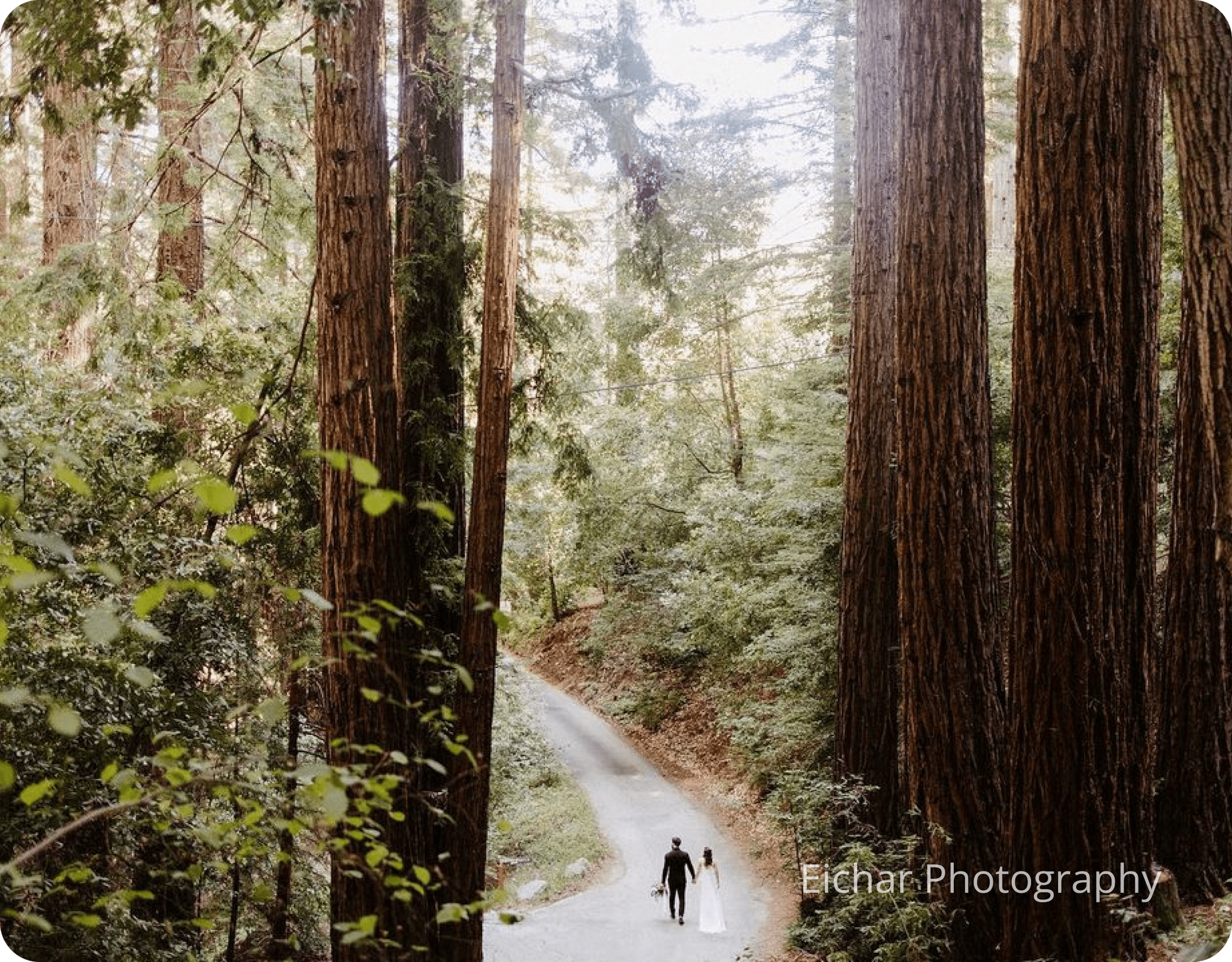 Mill Valley Elopement Couple