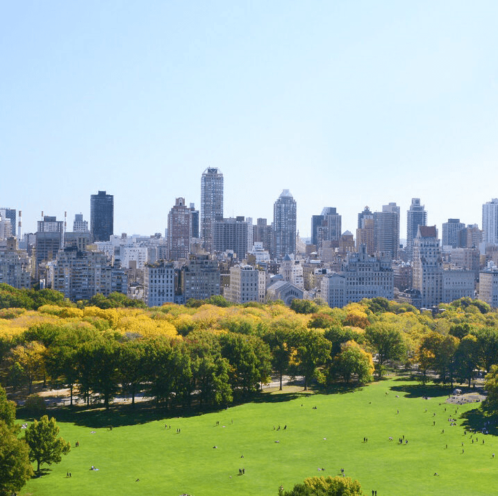 Central Park Elopement 2