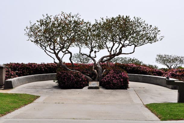 Crescent Bay Point Park