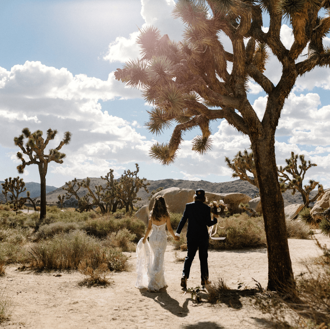 Joshua Tree Elopement Package 3