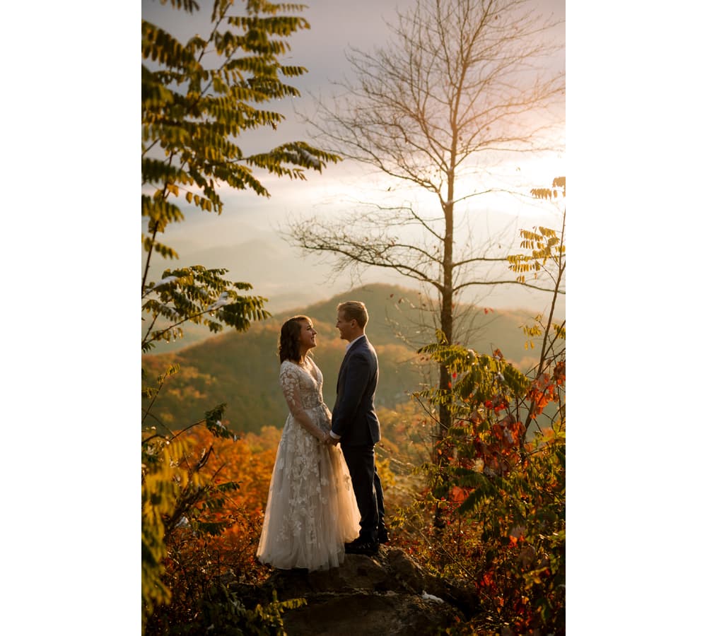 Foothills Parkway — West Overlooks