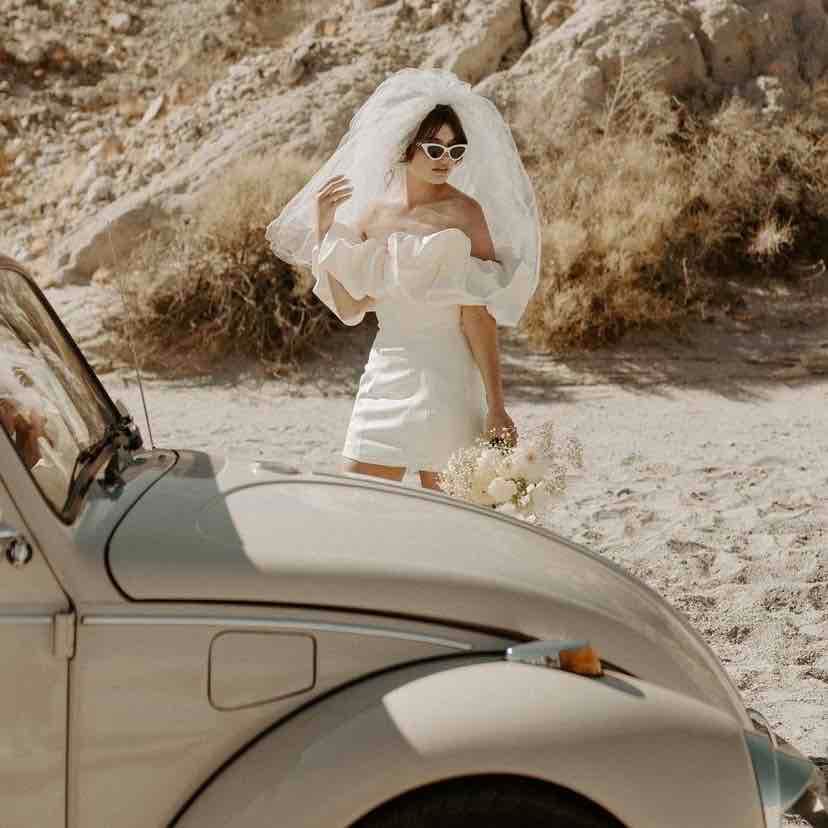Anza Borrego State Park Elopement 3