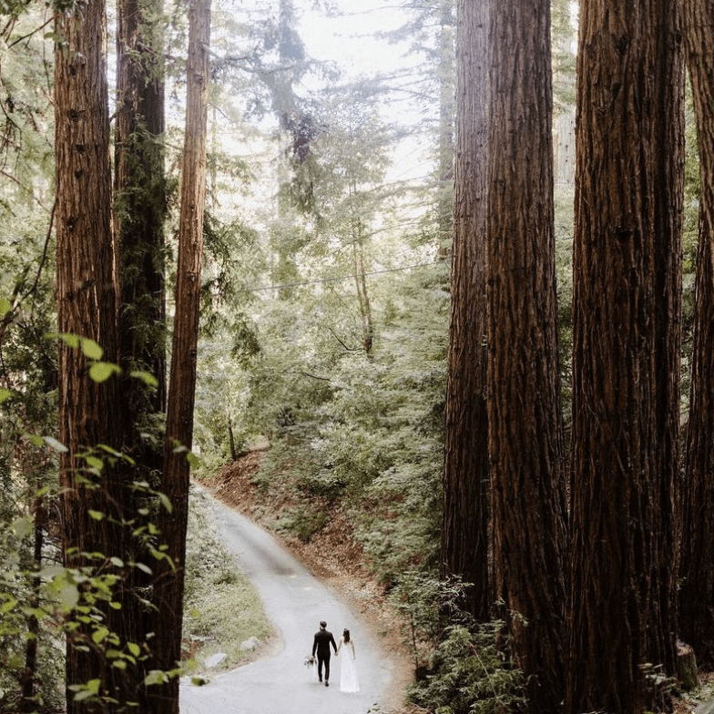 Muir Woods Elopement — main