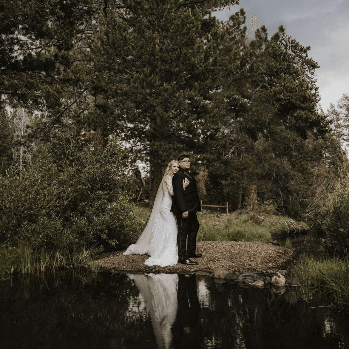 Dancing Pines portfolio 5