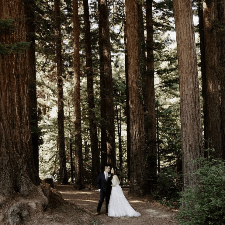 Mill Valley Elopement 4