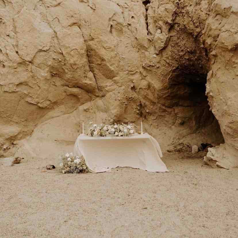 Anza Borrego State Park Elopement 2