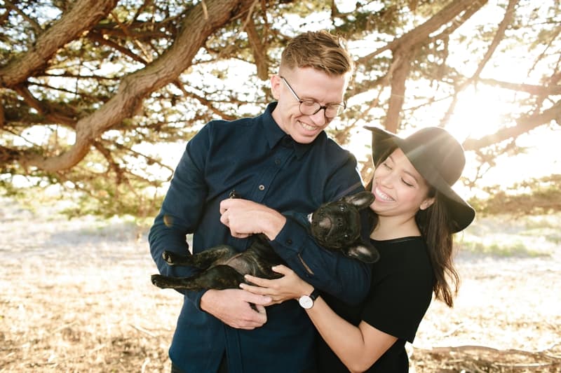 Point Reyes — Cypress Tree Tunnel